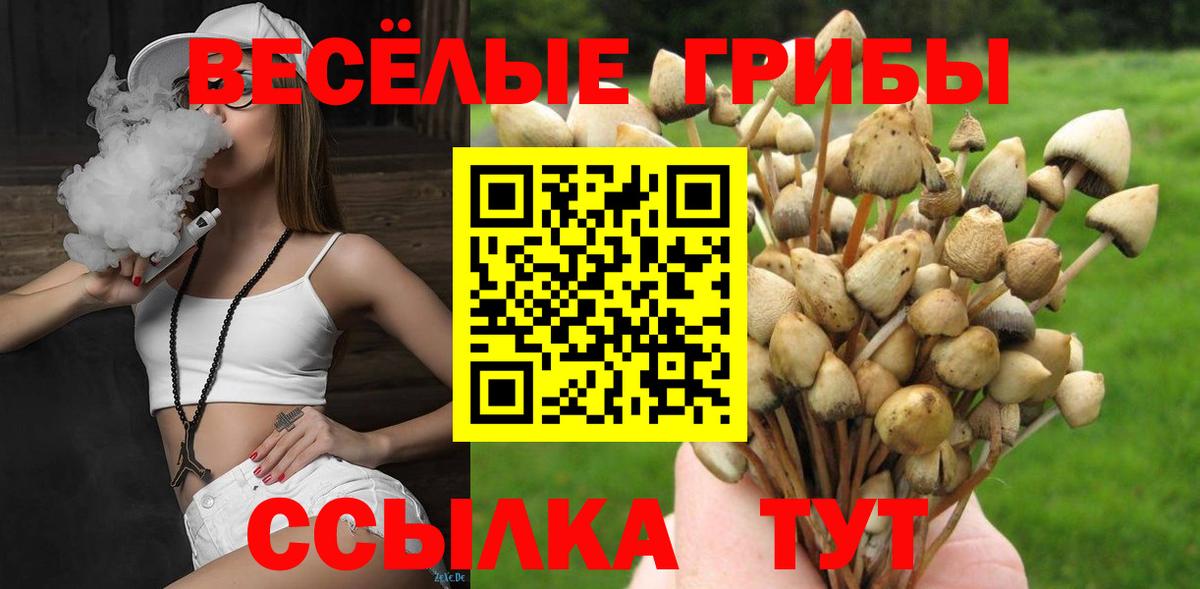 Галлюциногенные грибы GOLDEN TEACHER  Галлюциногенные грибы ЛСД  Вход с VPN  где продают наркотики  Пенза 