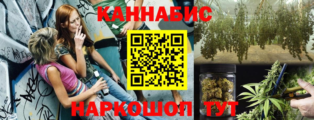 Пенза  МАРИХУАНА планчик  Конопля SATIVA & INDICA  Вход с VPN  Конопля THC 21% 